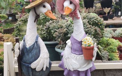 花園里忙碌的兩只玻璃鋼彩繪鴨子雕塑