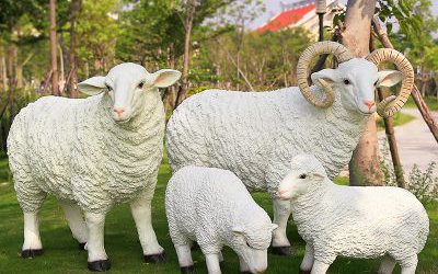 動物園玻璃鋼仿真動物綿羊雕塑