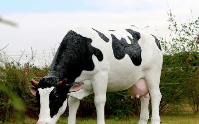 景區(qū)草坪玻璃鋼仿真奶牛雕塑