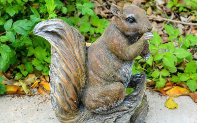 景區(qū)動(dòng)物園一只吃東西玻璃鋼松鼠雕塑