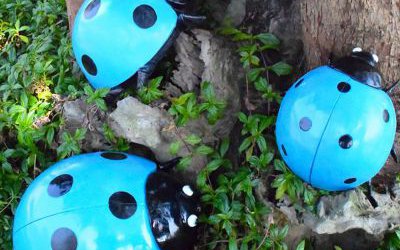 公園里擺放的玻璃鋼卡通七星瓢蟲(chóng)雕塑