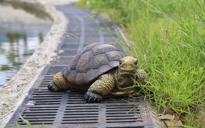 戶外花園玻璃鋼仿真動物烏龜雕塑