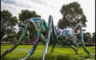 公園草地擺放的大型玻璃鋼彩繪蜘蛛雕塑