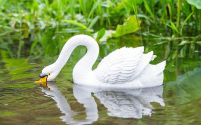創意景觀池塘里覓食的仿真天鵝雕塑