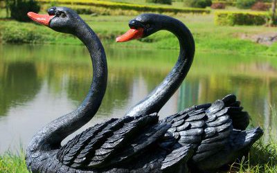 戶外池塘玻璃鋼仿真動物景觀黑天鵝雕塑