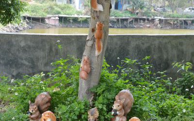 園林景區(qū)一群玻璃鋼仿真動(dòng)物松鼠雕塑
