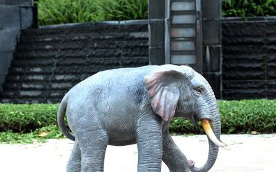 公園戶外大型景觀玻璃鋼仿真動(dòng)物大象雕塑